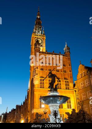 Il Municipio di Danzica e la Fontana di Nettuno di notte, Polonia Foto Stock