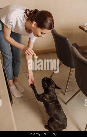 donna allegra che tiene affettato avocado e toccante zampa di carino bulldog francese in cucina Foto Stock