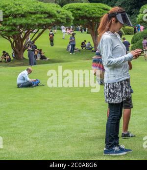 Smartphone donna al Shinjuku Gyoen Garden durante l'estate, Tokyo, Giappone. Foto Stock