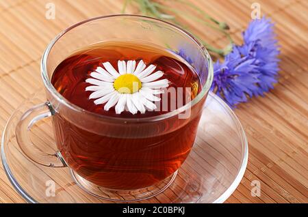 Tisane in tazza con camomilla Foto Stock