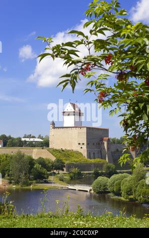 L'Estonia. Narva. Antica fortezza sul confine con Ru Foto Stock