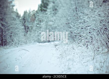 Scena di inverno Foto Stock