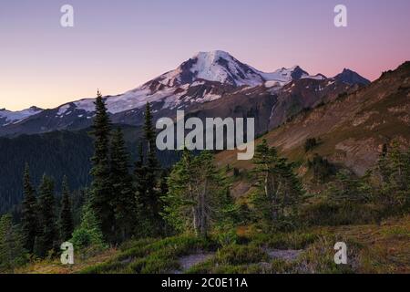 WA16666-00....WASHINGTON - luce di alba sul monte Baker da Skyline divide nella sezione di Monte Wilderness del Monte Baker - Snoqualmie National Fore Foto Stock