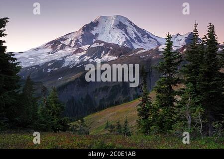 WA16668-00....WASHINGTON - luce di alba sul monte Baker da Skyline divide nella sezione di Monte Wilderness del Monte Baker - Snoqualmie National Fore Foto Stock