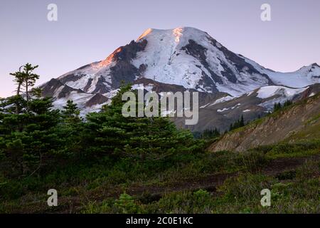 WA16669-00....WASHINGTON - luce di alba sul monte Baker da Skyline divide nella sezione di Monte Wilderness del Monte Baker - Snoqualmie National Fore Foto Stock