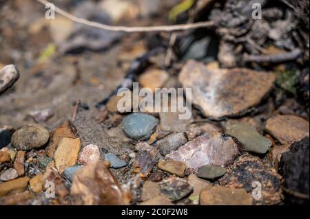 Artefatto di freccia americana nativo in situ trovato in letto di sabbia di un fiume Foto Stock