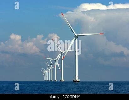 Eolico offshore nel Mar Baltico al largo di Lolland Foto Stock