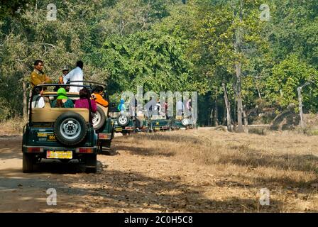 Ecoturismo in India presso la riserva delle tigri di Kanha Foto Stock