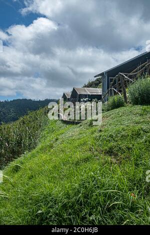 Achadas da cruz, questo piccolo villaggio è isolato dal resto dell'isola e raggiungibile solo in funivia o quando si cammina giù per la montagna. Foto Stock