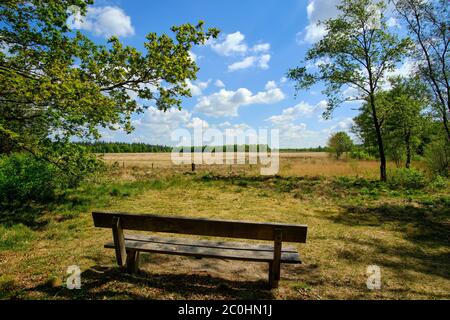 Una panca di legno che si affaccia su un paesaggio panoramico con erica sotto un cielo blu nuvoloso Foto Stock