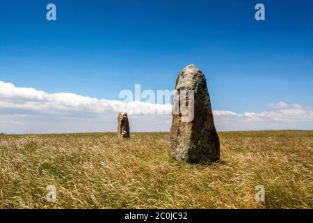 menhir Neolitico, les Bondons, UNESCO patrimonio mondiale, Cévennes parco nazionale, dipartimento Lozere, Occitanie, Francia Foto Stock