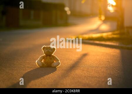 Piccolo orsacchiotto, seduto sulla strada al tramonto, retroilluminato con luce Foto Stock