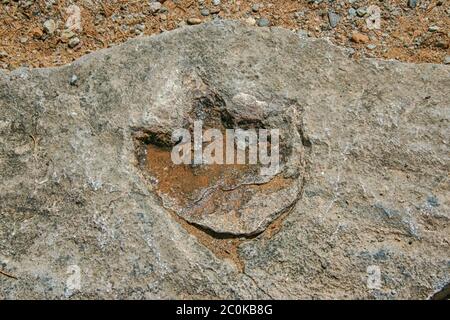 Presumibilmente una impronta di dinosauro in Colorado Foto Stock