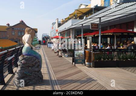 bar ristorante e caffè presso il porto turistico di brighton sulla costa del sussex Foto Stock