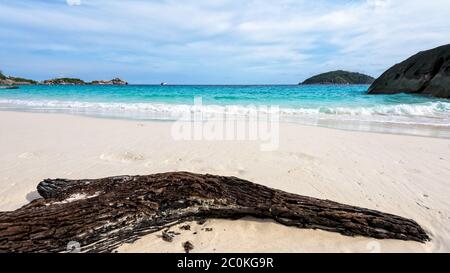 Vecchio driftwood presso la spiaggia sull isola in Tailandia Foto Stock