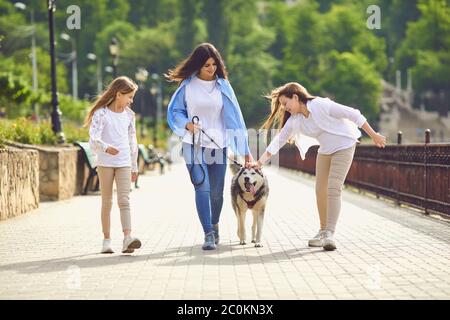 Bella giovane donna con adorabili bambini e cane Husky camminando lungo la strada della città. Mummia con bambini e animali domestici all'aperto Foto Stock