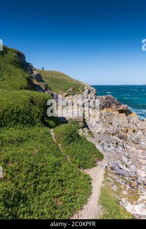 Un sentiero accidentato sulla costa di Towan Head a Newquay in Cornovaglia. Foto Stock