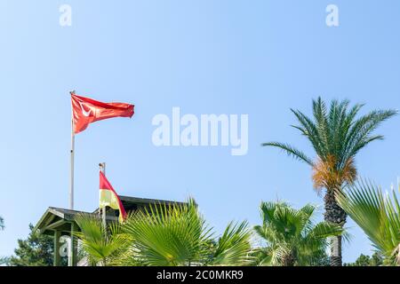 Sventolando bandiera turca nazionale rossa tra palme verdi e piante sulla spiaggia di un confortevole hotel resort di lusso in una giornata di sole di guerra. Turchia viaggio Foto Stock