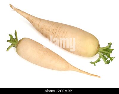 Due freschi daikon ravanelli isolati su sfondo bianco Foto Stock