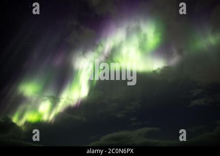 aurora rosa e verde a Lofoten. Foto Stock