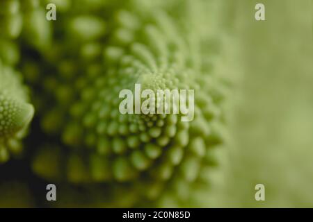Dettaglio delle spirali logaritmiche di romanesco broccoli Foto Stock