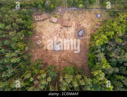 Vista dall'alto di parte della foresta in cui è abbattuto. Foto Stock