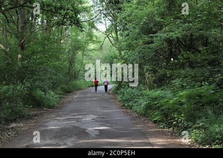 vista posteriore di due persone che camminano lungo una corsia di campagna in estate Foto Stock
