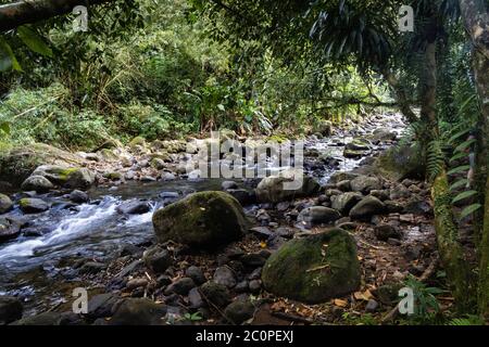 Sette Sorelle cascate a Grenada Foto Stock