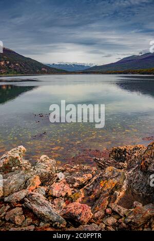 Magiche foreste subpolari e lagune turchesi del Magellano nel Parco Nazionale della Terra del fuoco, canale di Beagle, Patagonia, Argentina Foto Stock