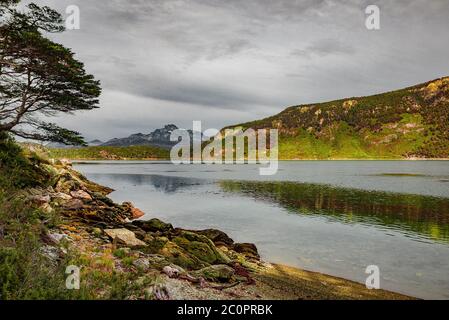 Magiche foreste subpolari e lagune turchesi del Magellano nel Parco Nazionale della Terra del fuoco, canale di Beagle, Patagonia, Argentina Foto Stock