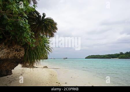 Spiaggia tropicale con palme e mare in una giornata nuvolosa. Isola di Ishigaki, Okinawa, Giappone Foto Stock