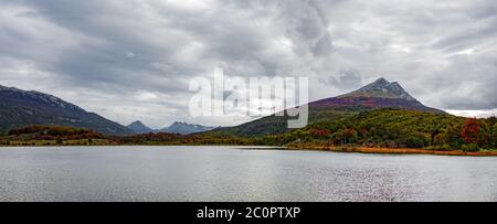 Magiche foreste subpolari e lagune turchesi del Magellano nel Parco Nazionale della Terra del fuoco, canale di Beagle, Patagonia, Argentina Foto Stock