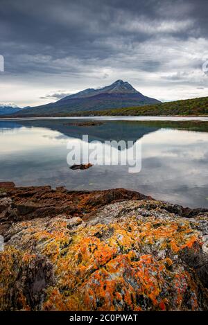 Magiche foreste subpolari e lagune turchesi del Magellano nel Parco Nazionale della Terra del fuoco, canale di Beagle, Patagonia, Argentina Foto Stock