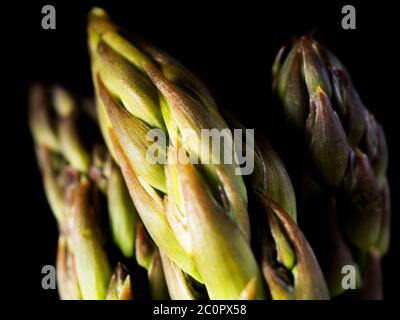 Tre spighe di asparagi freschi su fondo nero Foto Stock