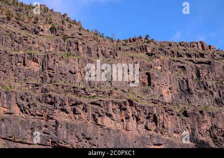La roccia vulcanica formazione basaltica in Gran Canaria Foto Stock