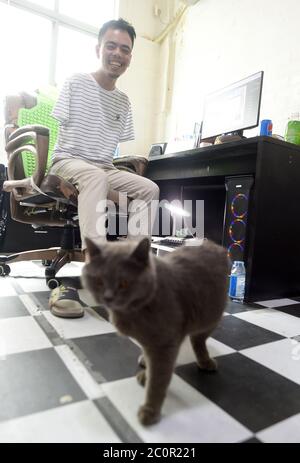 (200612) -- ZHUJI, 12 giugno 2020 (Xinhua) -- Jin Jiangwei guarda il suo gatto nella città di Zhuji, nella provincia di Zhejiang della Cina orientale, 12 giugno 2020. Jin Jiangwei, un villaggio di 34 anni del villaggio di Leshan nella città di Zhuji, ha perso le braccia a causa di un incidente all'età di cinque anni. Nel 2016, Jin Jiangwei e suo fratello aprirono un negozio online per vendere calze, in cui Jin è responsabile della pianificazione del negozio e del servizio clienti. Dopo anni di pratiche, Jin è in grado di digitare con i piedi più velocemente della gente normale. Le vendite annuali del negozio ha superato un milione di yuan (circa 141,288 dollari USA) negli ultimi anni. (XI Foto Stock