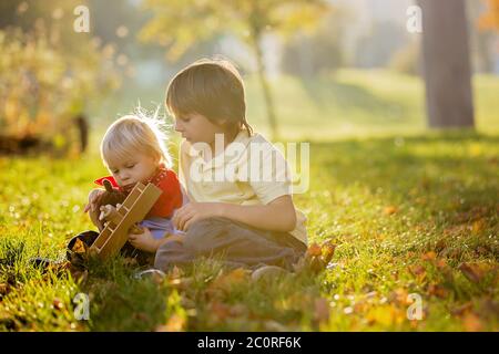 Bel ragazzo biondo di due anni, giocando con un aereo di legno e un orsacchiotto nel parco al tramonto, soleggiato giorno d'autunno Foto Stock