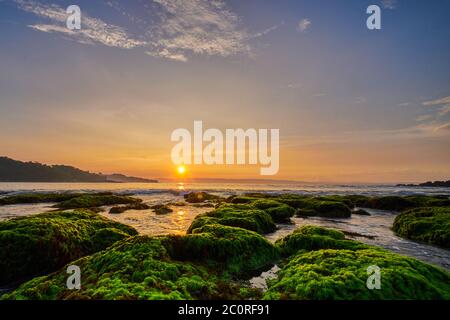 Vista panoramica dell'alba soleggiata su una spiaggia rocciosa coperta da muschio verde a Sawarna Beach, Banten, Indonesia Foto Stock