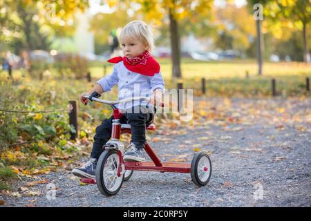 Bellissimo bambino biondo di due anni, cavalcando triciclo rosso nel parco al tramonto, bellissimo giorno d'autunno Foto Stock