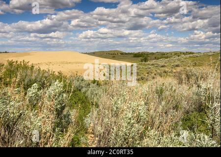 Paesaggio delle grandi colline sabbatiche vicino alla città di leader, Saskatchewan, Canada Foto Stock
