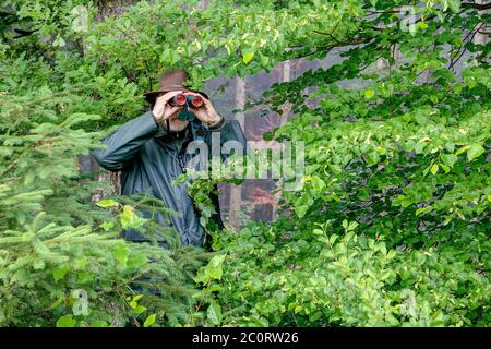 Ben mimetizzato tra i cespugli, un cacciatore osserva la zona di caccia attraverso il suo binocolo in una giornata piovosa. Foto Stock