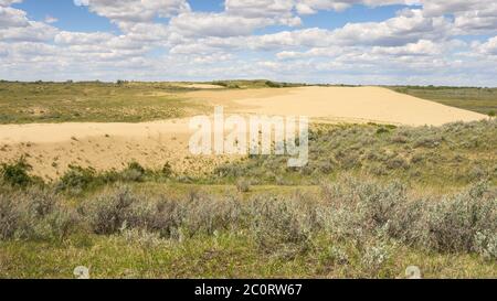 Paesaggio delle grandi colline sabbatiche vicino alla città di leader, Saskatchewan, Canada Foto Stock