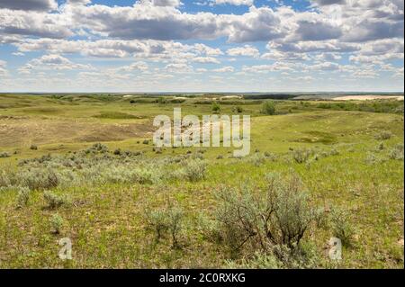Paesaggio delle grandi colline sabbatiche vicino alla città di leader, Saskatchewan, Canada Foto Stock