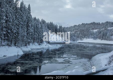 Foresta artica in Norvegia durante l'inverno. Foto Stock