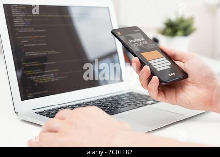 Sviluppatore Web, design concept. Programmatore che lavora sul codice. Foto Stock