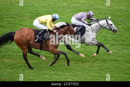 Il restauratore guidato da Jim Crowley (a destra) vince il MansionBet battuto da un Head handicap all'ippodromo di Newbury. Foto Stock