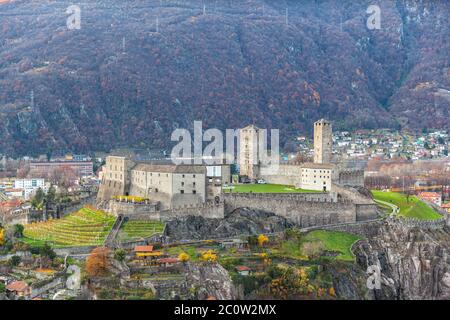 Veduta aerea ravvicinata della rovina del Castello di Castelgrande situata su una collina dal Castello di Montebello in autunno, con alberi colorati e erba verde, Bellinzona, Foto Stock