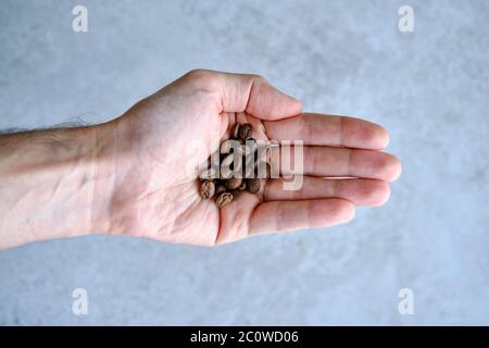 Mani dell'uomo che tengono chicchi di caffè aromatico appena tostati Foto Stock