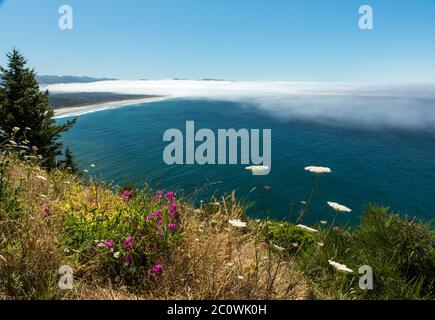 Nebbia che ondeggia sulla riva e fiori rendono la vista del mare e della spiaggia unica lungo la costa aspra dell'Oregon Foto Stock