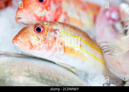 Pesce al banco nel mercato del pesce Foto Stock